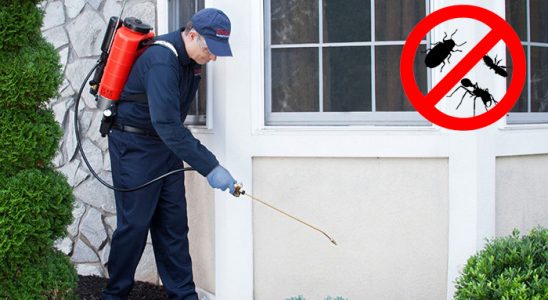 Bozcaada Dezenfeksiyon böcek ilaçlama ve haşere kontrolü — ilaclama-tr.com